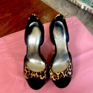 Bebe leopard Stilletos